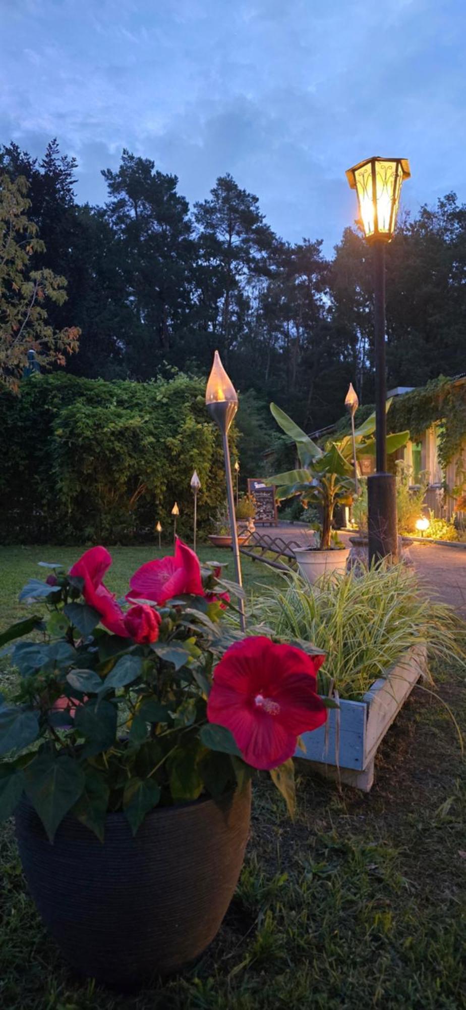 Waldpension Gussow Heidesee Exterior photo